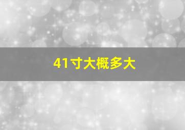 41寸大概多大