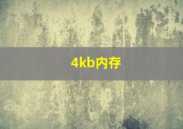 4kb内存