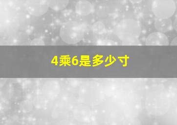 4乘6是多少寸