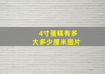 4寸蛋糕有多大多少厘米图片