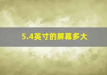 5.4英寸的屏幕多大