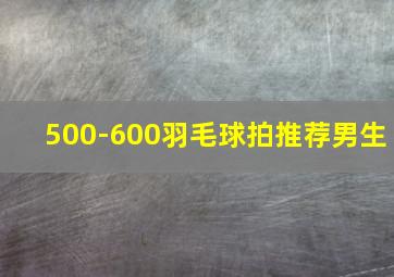 500-600羽毛球拍推荐男生