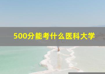 500分能考什么医科大学