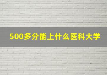 500多分能上什么医科大学