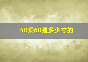 50乘60是多少寸的