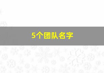 5个团队名字