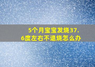 5个月宝宝发烧37.6度左右不退烧怎么办