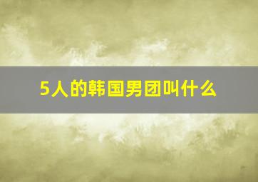 5人的韩国男团叫什么