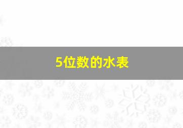 5位数的水表