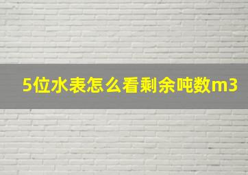 5位水表怎么看剩余吨数m3