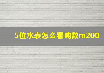 5位水表怎么看吨数m200