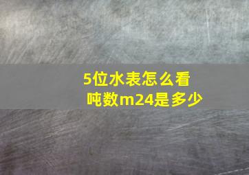 5位水表怎么看吨数m24是多少