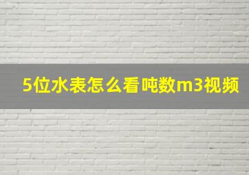 5位水表怎么看吨数m3视频