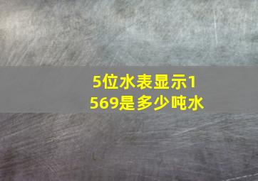 5位水表显示1569是多少吨水