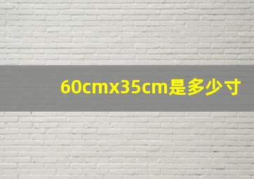 60cmx35cm是多少寸