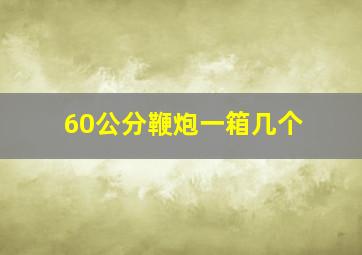 60公分鞭炮一箱几个