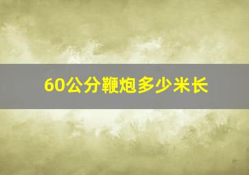 60公分鞭炮多少米长