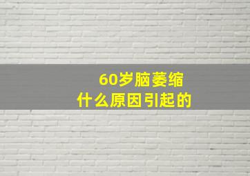 60岁脑萎缩什么原因引起的