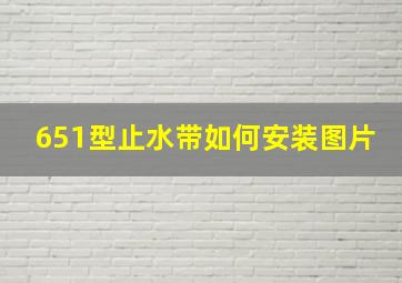 651型止水带如何安装图片