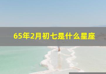 65年2月初七是什么星座