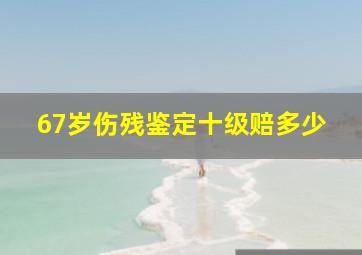 67岁伤残鉴定十级赔多少