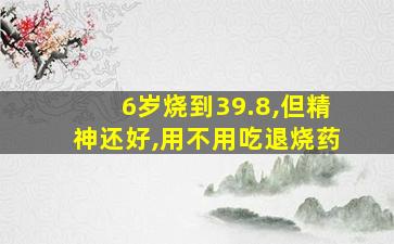 6岁烧到39.8,但精神还好,用不用吃退烧药