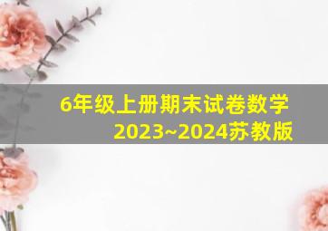 6年级上册期末试卷数学2023~2024苏教版