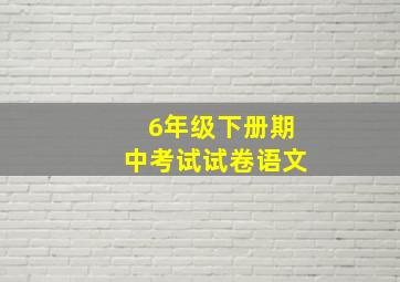 6年级下册期中考试试卷语文