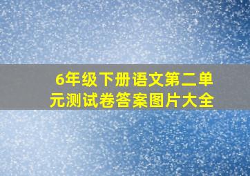 6年级下册语文第二单元测试卷答案图片大全