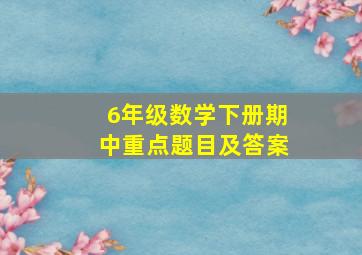 6年级数学下册期中重点题目及答案