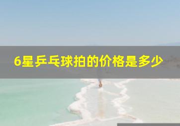 6星乒乓球拍的价格是多少