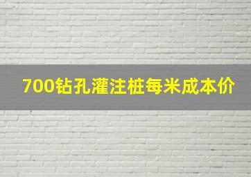 700钻孔灌注桩每米成本价