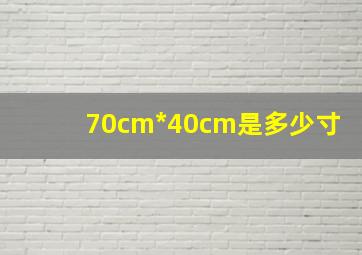 70cm*40cm是多少寸