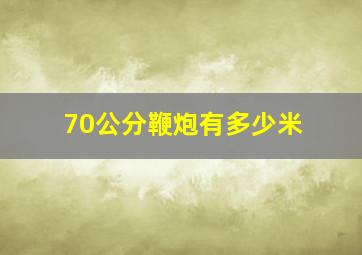 70公分鞭炮有多少米