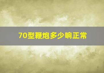 70型鞭炮多少响正常