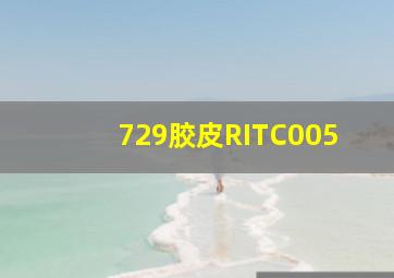 729胶皮RITC005