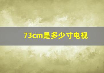 73cm是多少寸电视