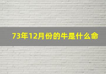 73年12月份的牛是什么命