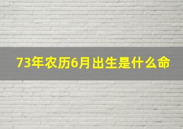 73年农历6月出生是什么命