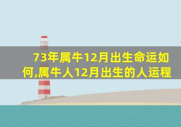 73年属牛12月出生命运如何,属牛人12月出生的人运程