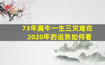 73年属牛一生三灾难在2020年的运势如何看