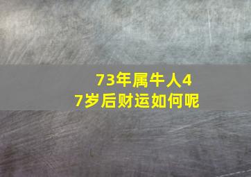 73年属牛人47岁后财运如何呢