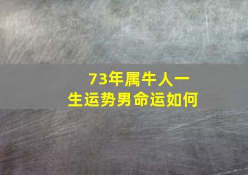 73年属牛人一生运势男命运如何