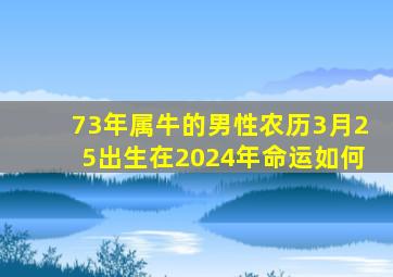 73年属牛的男性农历3月25出生在2024年命运如何