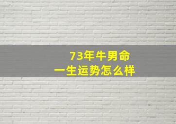 73年牛男命一生运势怎么样