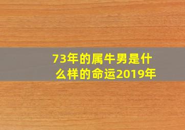 73年的属牛男是什么样的命运2019年