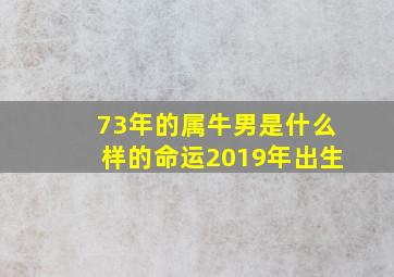 73年的属牛男是什么样的命运2019年出生