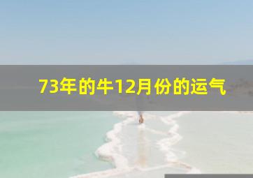 73年的牛12月份的运气