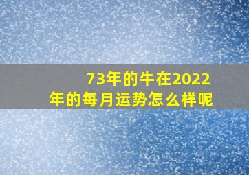 73年的牛在2022年的每月运势怎么样呢