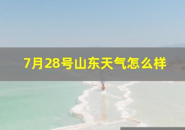 7月28号山东天气怎么样